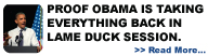 Proof Obama is taking everything back in lame duck session